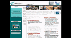 Desktop Screenshot of collins-mgmt.com